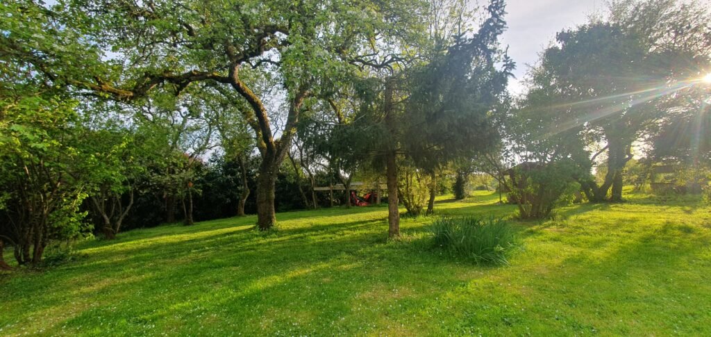 le jardin ensoleillé de la thébaïde de lunay le lieu où je vous reçois pour des massages